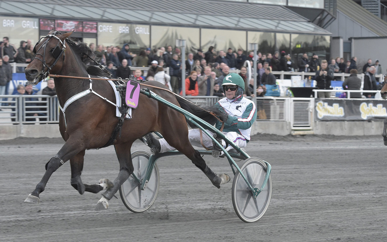 Who's Whos genombrott när han vann V75-final som fyraåring med Torbjörn Jansson i sulkyn. Foto: ALN